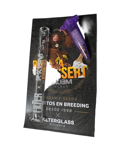 REKIEM SEEDS X FILTRAR GLASS BARCELONA — Banana Dessert Drop